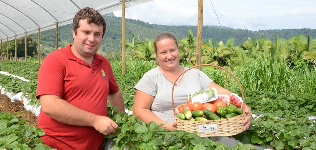 Em Santa Catarina, os agricultores poderão abater parte dos juros dos projetos contratados no Plano Safra nas linhas do Pronamp e Pronaf/ Foto: Divulgação/Epagri