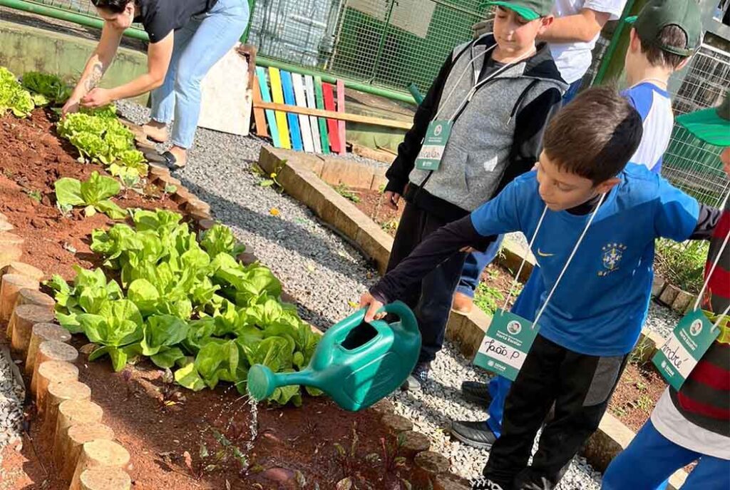 Programa incentiva a alimentação saudável e o trabalho em equipe/Foto: Divulgação Sistema Faesc/Senar/Sindicatos