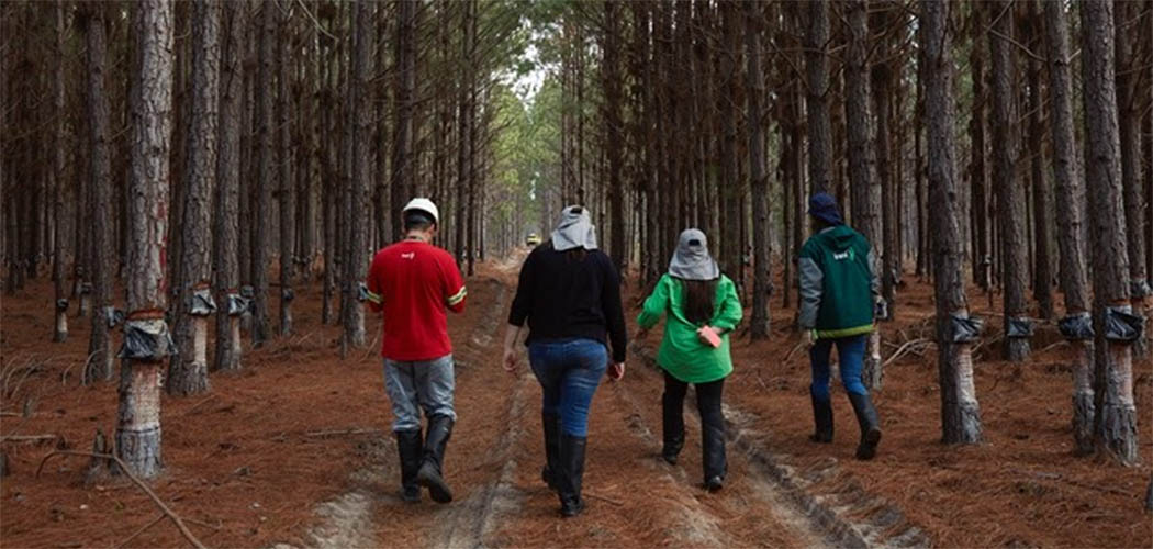 Irani promove evento online para debater a diversidade nesta quinta-feira (8)