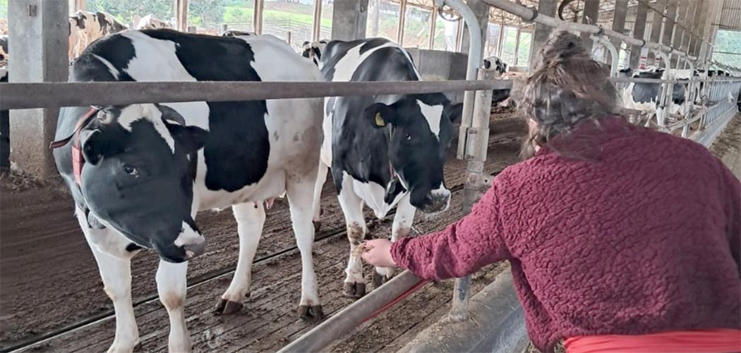 Jovens do Novos Caminhos visitam granja leiteira para conhecer o setor agropecuário/Foto: Fiesc