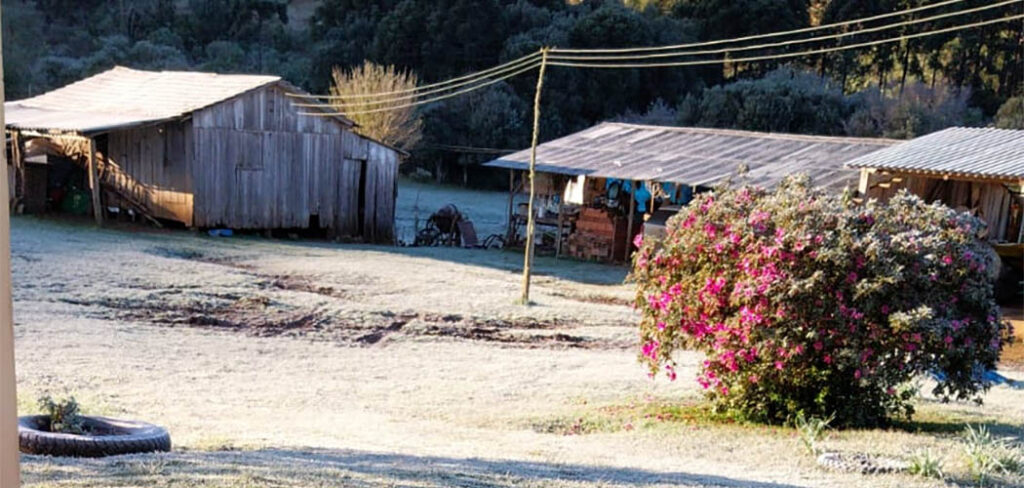 53 municípios de SC amanheceram com temperaturas negativas nesta terça-feira (13)/Foto: Tatiana Argenton