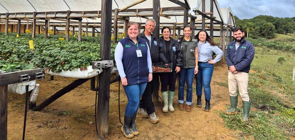 Empresários da área de turismo rural aperfeiçoam negócios com apoio do Senar-SC