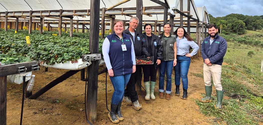 Empresários da área de turismo rural aperfeiçoam negócios com apoio do Senar-SC