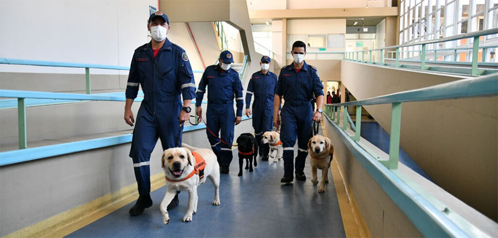 Cães do CBMSC levam alegria a crianças em tratamento no Hospital Infantil Joana de Gusmão/ Foto: Soldado Eduardo de Souza