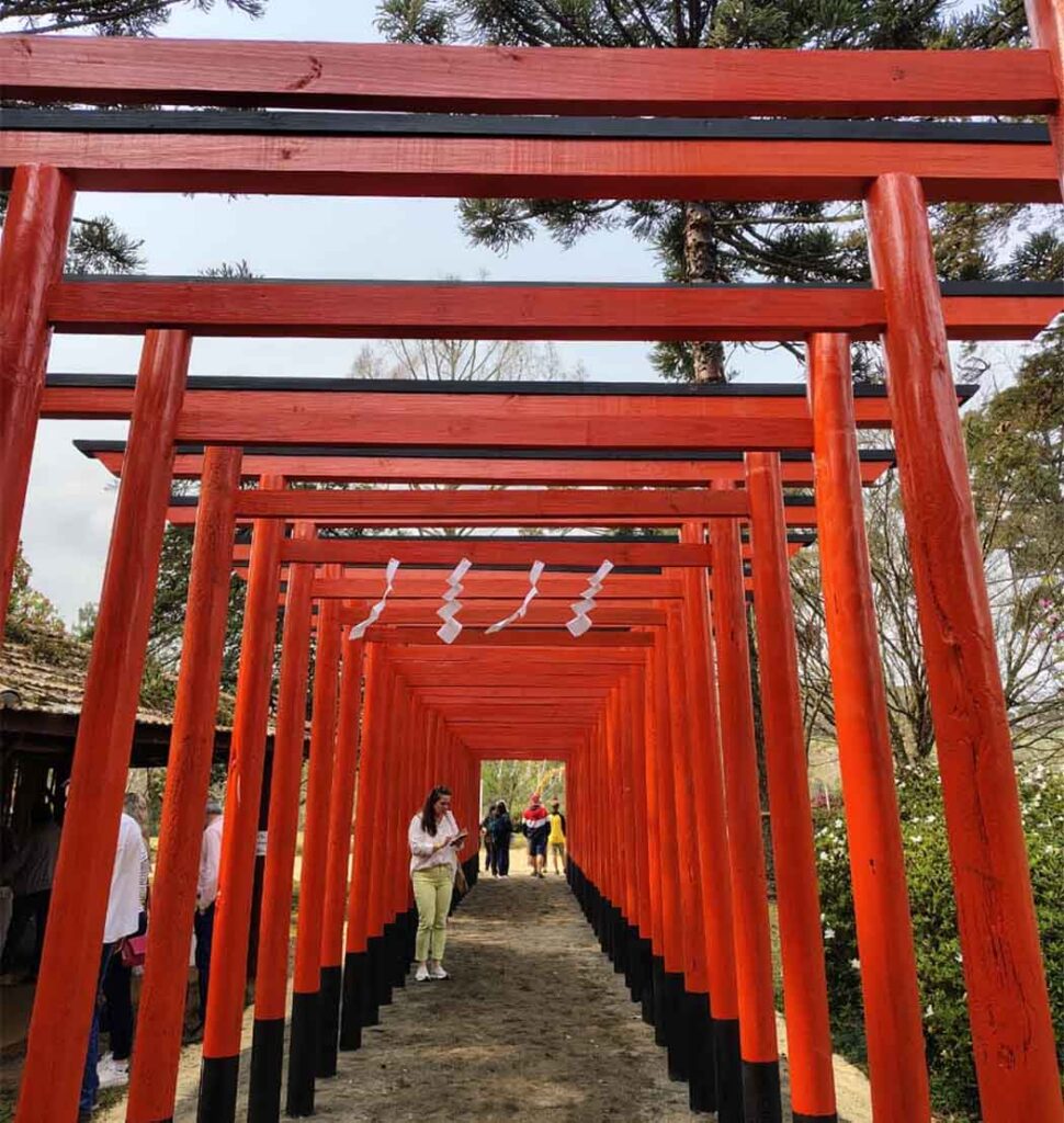 Torii simboliza o agradecimento dos devotos e voluntários por saúde, prosperidade nos negócios e outras bênçãos/Foto:Maythe Novak-Bom Dia SC