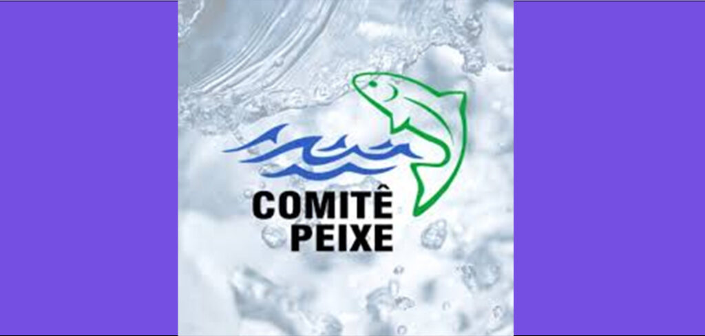 Comitê Peixe realiza capacitação sobre Planos de Recursos Hídricos