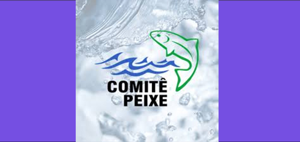 Comitê Peixe realiza capacitação sobre Planos de Recursos Hídricos