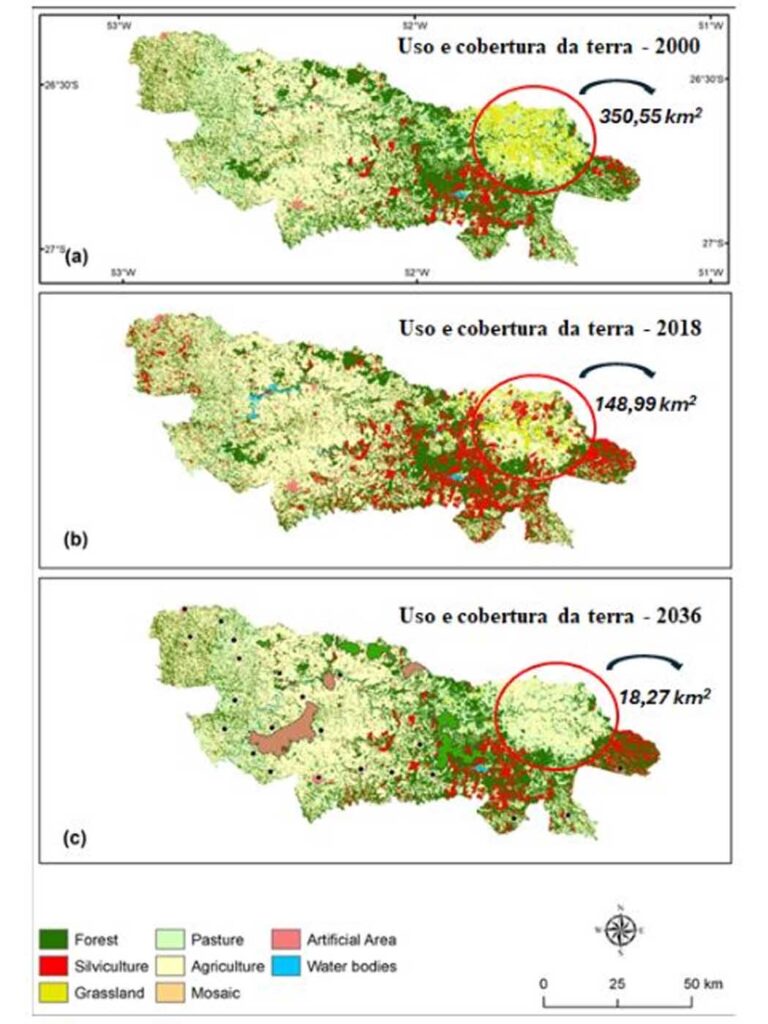 Mapa mostra a redução de área de campos naturais no Corredor Ecológico em 2000, 2018 e em simulação para 2036 (c)