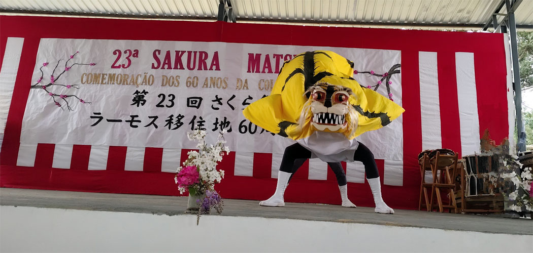 Sakura Matsuri - Festa da Florada em Frei Rogério/Foto: Maythe Novak-Bom Dia SC