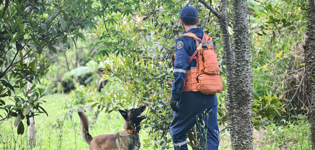 Binômios do CBMSC participam pela 1º da competição Sul-Americana de cães de trabalho/ Foto: Divulgação / CBMSC