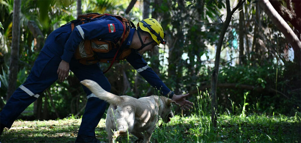 Binômios do CBMSC participam pela 1º da competição Sul-Americana de cães de trabalho/ Foto: Divulgação / CBMSC