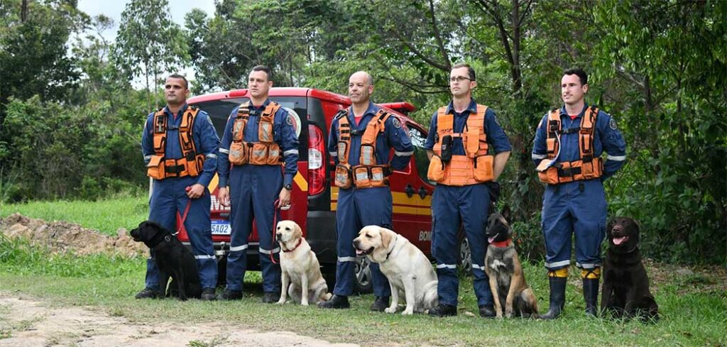 Binômios do CBMSC participam pela 1º da competição Sul-Americana de cães de trabalho/ Foto: Divulgação / CBMSC