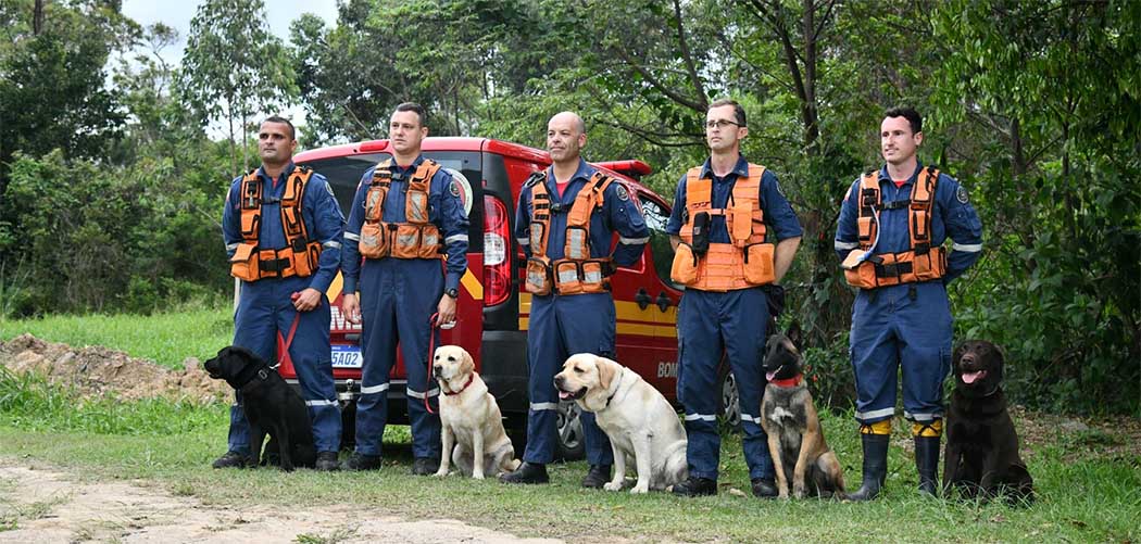 Binômios do CBMSC participam pela 1º da competição Sul-Americana de cães de trabalho/ Foto: Divulgação / CBMSC
