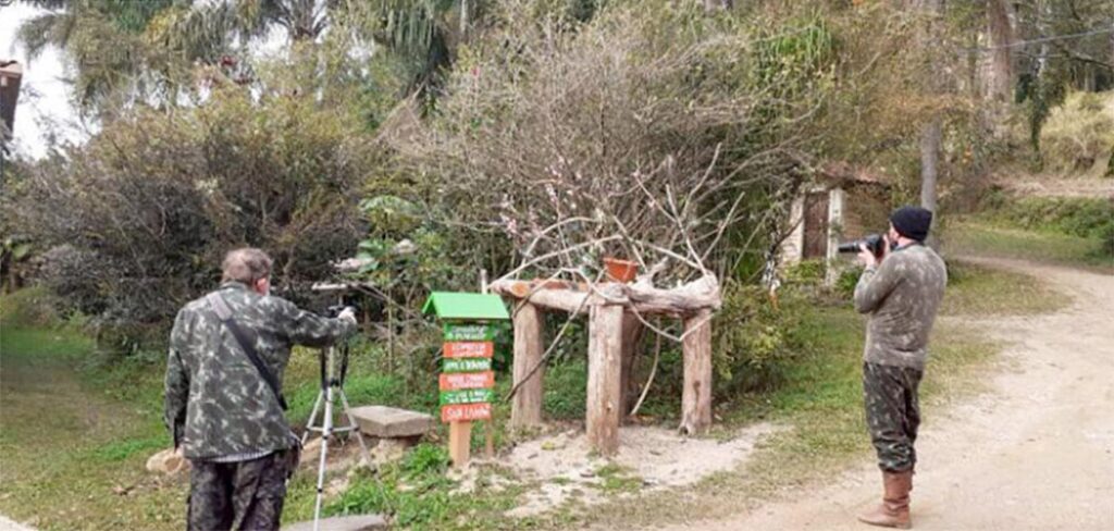 Em Santa Catarina cresce o Turismo de observação de aves/Foto: Gilberto Sander Müller