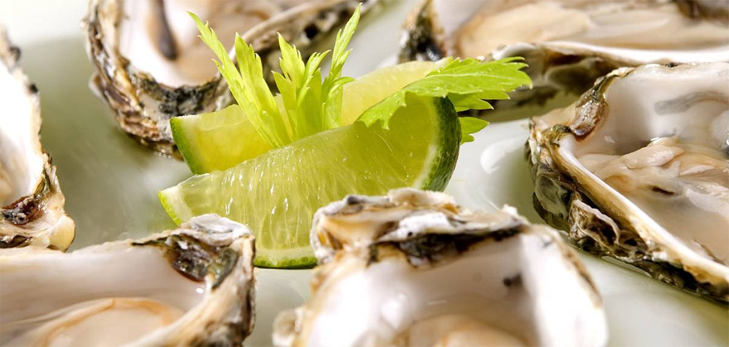 22ª edição da Fenaostra em Florianópolis celebra cultura e gastronomia açoriana