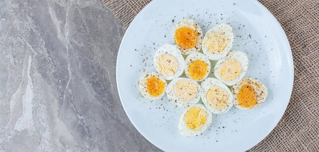 Dieta do ovo no mundo das influenciadoras