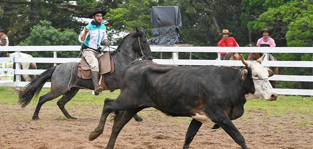 Parque Saiqui se prepara para a 40ª edição do Rodeio Crioulo Nacional em Canela, na Serra Gaúcha/ Foto: Diego Santos