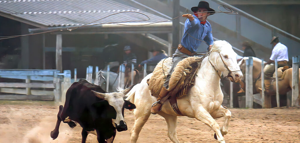 Rodeio Crioulo Nacional de Canela, na Serra Gaúcha, promete um espetáculo de cultura, tradição e entretenimento