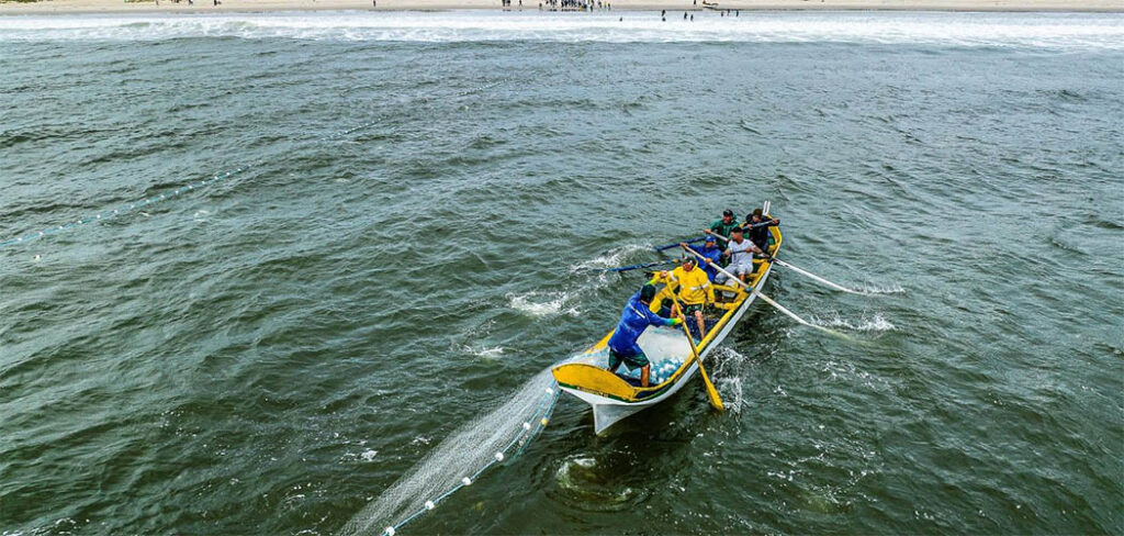 Atenção pescadores está aberta as inscrições para a safra da tainha 2025