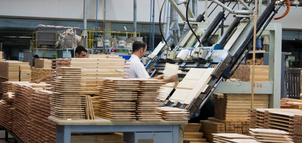 Setor madeireiro é destaque na pauta de exportações de SC em 2024