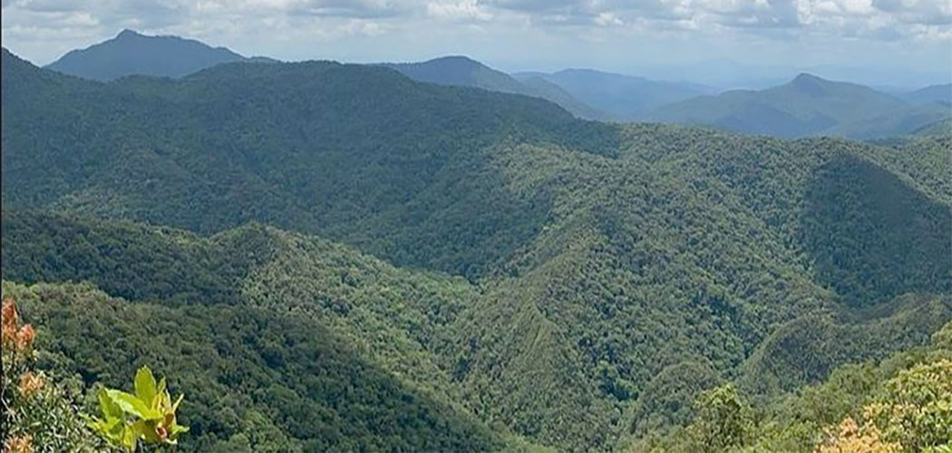 Lei altera limites do Parque Nacional da Serra do Itajaí/Foto: Divulgação/ICMBio