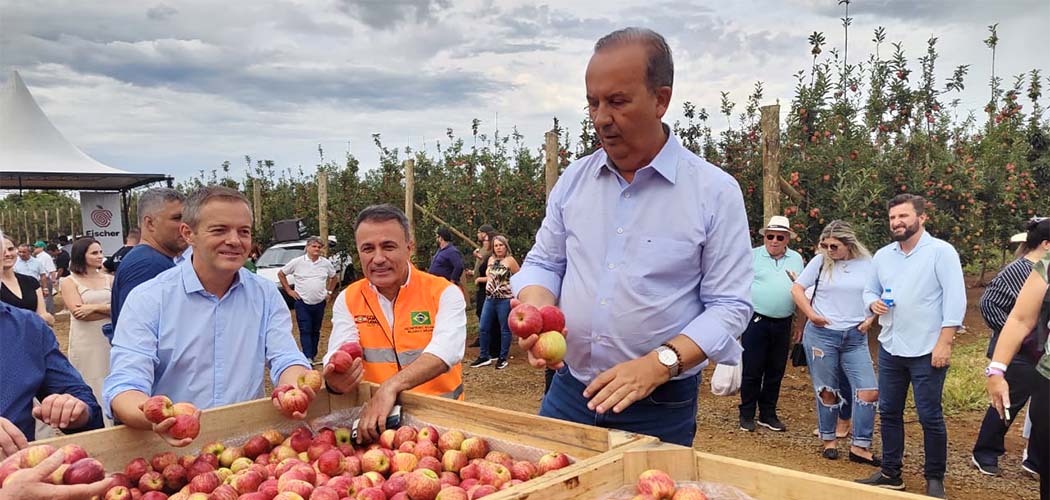 Jorginho Mello participa da Abertura Nacional da Colheita da Maçã em Fraiburgo/Foto: Evandro Novak-TV Bom Dia SC
