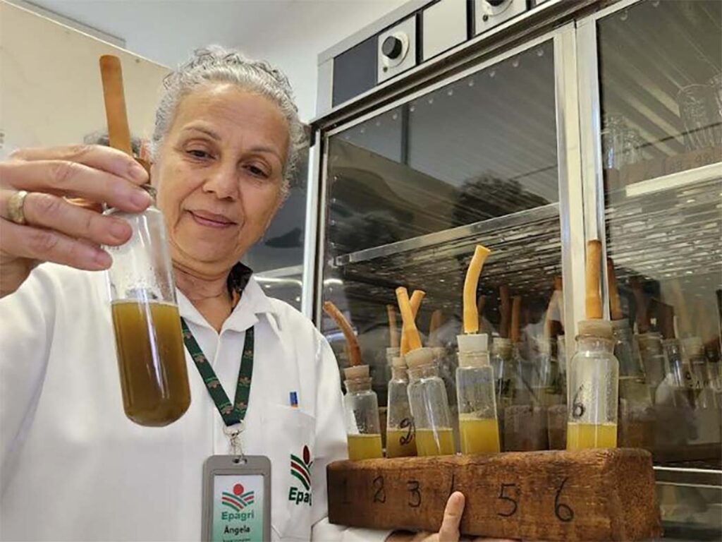 Ângela Rech orienta os produtores a conhecerem o bagaço da maçã que irão utilizar/ Foto: Pablo Gomes/Epagri