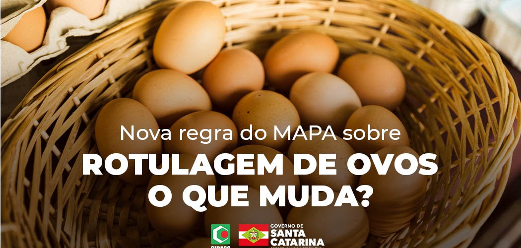 Cidasc esclarece nova portaria do Mapa sobre rotulagem de ovos