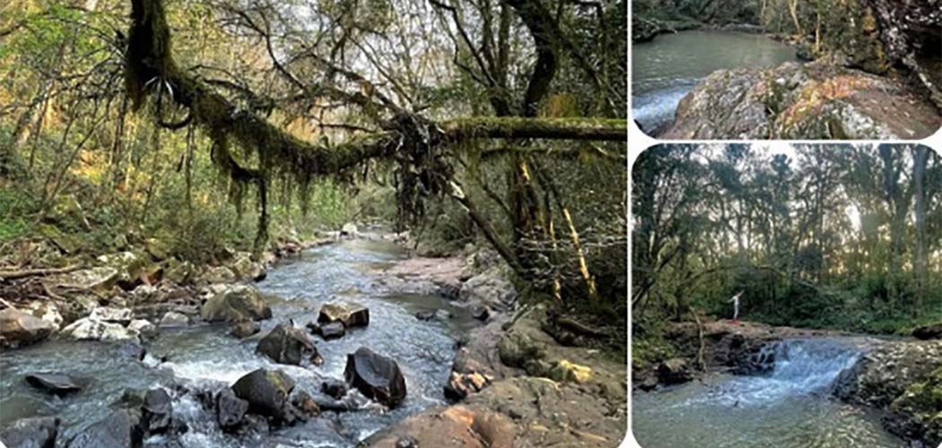 O local oferece aos visitantes um espaço único para conectar-se com a natureza e vivenciar experiências de turismo rural, trilhas e locais para desfrutar finais de semana (quiosques)
