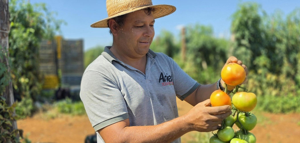 Lebon Régis se destaca na produção de hortifruti em Santa Catarina