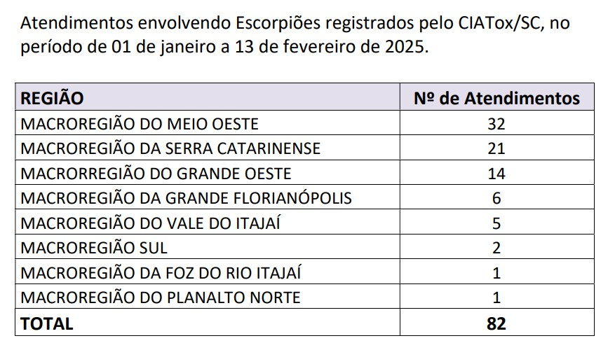 Secretária da Saúde de SC alerta para risco de escorpiões com calor e humidade