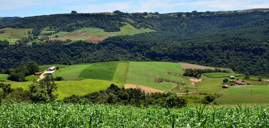 Programas de apoio direto ao produtor terão aumento de 28% em 2025/Foto: Aires Mariga/Epagri