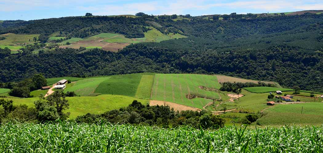 Programas de apoio direto ao produtor terão aumento de 28% em 2025/Foto: Aires Mariga/Epagri