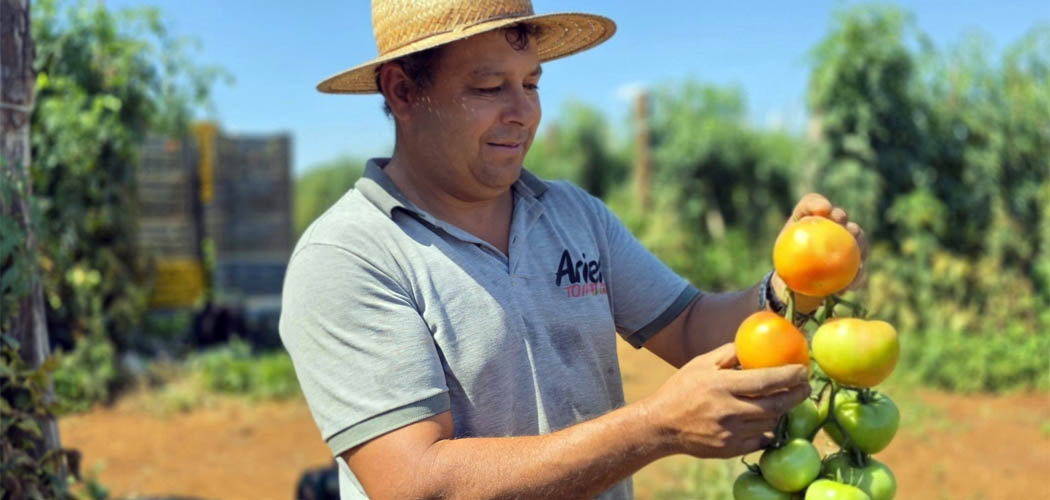 Coocam apoia produtores de hortifruti de Lebon Régis