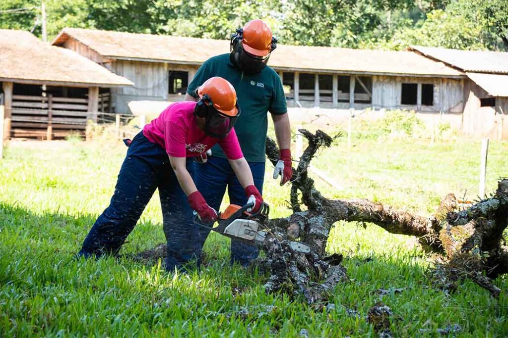 Elas transformam o campo/Foto: Divulgação