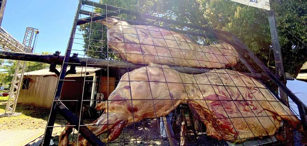 Festival na Serra Catarinense terá assado de carcaça inteira de búfalo como atração