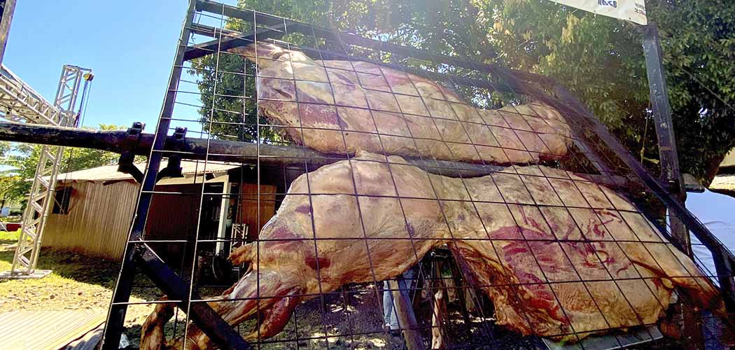 Festival na Serra Catarinense terá assado de carcaça inteira de búfalo como atração