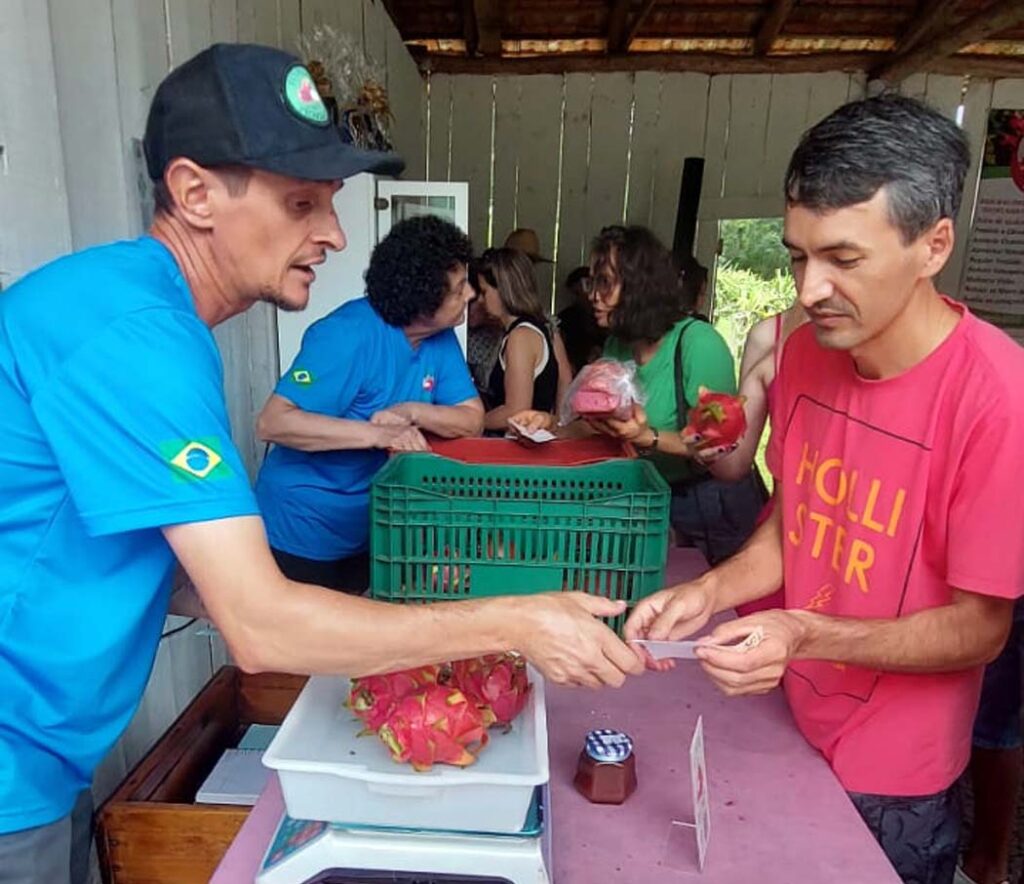 Claudimir Piovesan disse que a propriedade produz Pitaya desde 2016 e atende hoje o comércio de Herval d' Oeste, Joaçaba e região