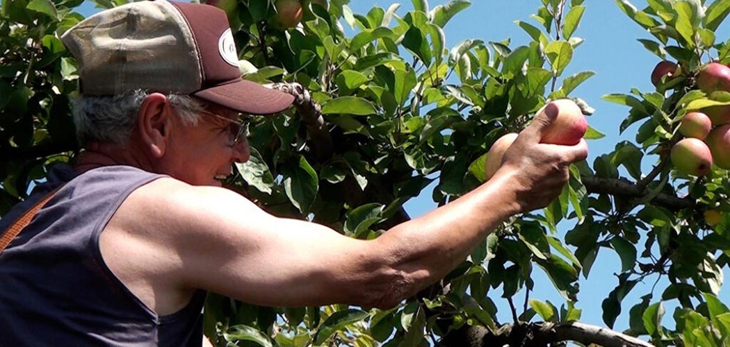 FAESC/SENAR promove palestra sobre "Saúde e segurança no meio ambiente de trabalho rural" dia 27/Foto: Evandro Novak-TV Bom Dia SC