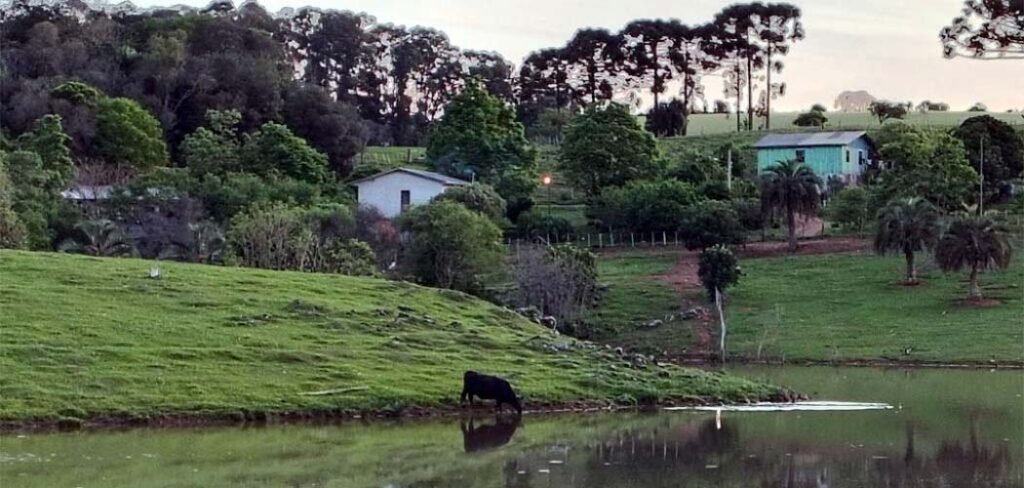Prazo para Prefeituras conveniadas lançarem o Valor da Terra Nua vai até 30 de abril/Foto: Maythe Novak-Bom Dia SC