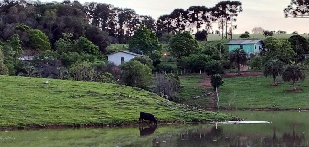 Prazo para Prefeituras conveniadas lançarem o Valor da Terra Nua vai até 30 de abril/Foto: Maythe Novak-Bom Dia SC