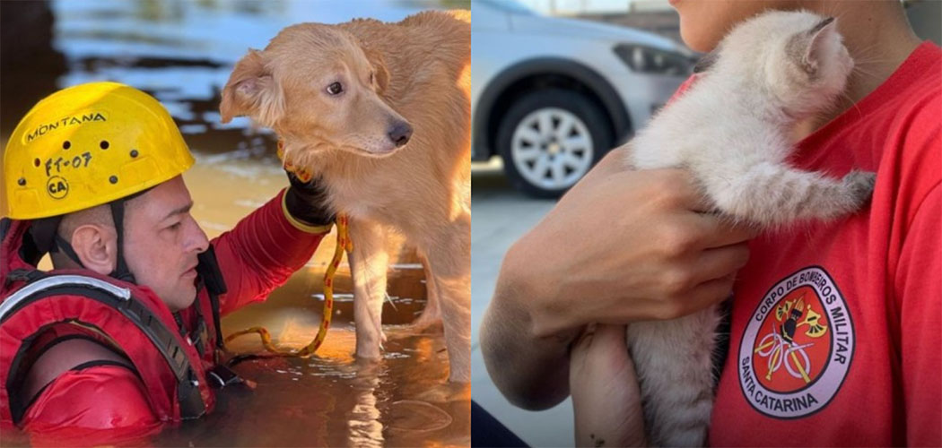 Dia Nacional dos Animais (14/03)