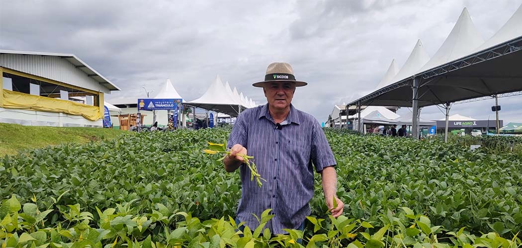 Imposto de Renda Produtor Rural