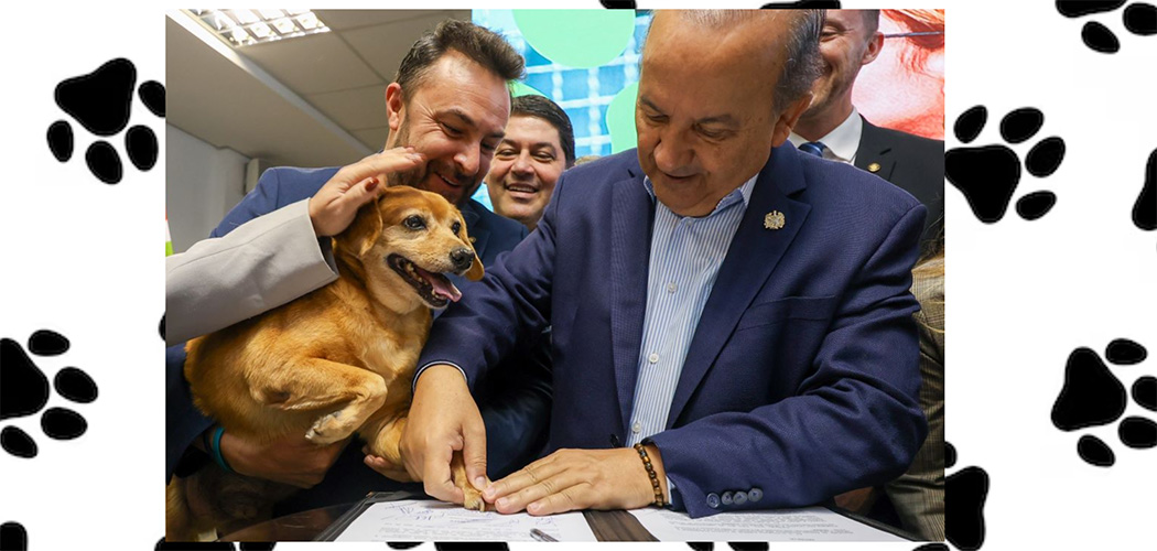 Governador Jorginho Mello lança maior programa estadual de castração animal do país