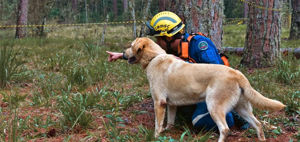 CBMSC celebra o Dia do Cão de Busca