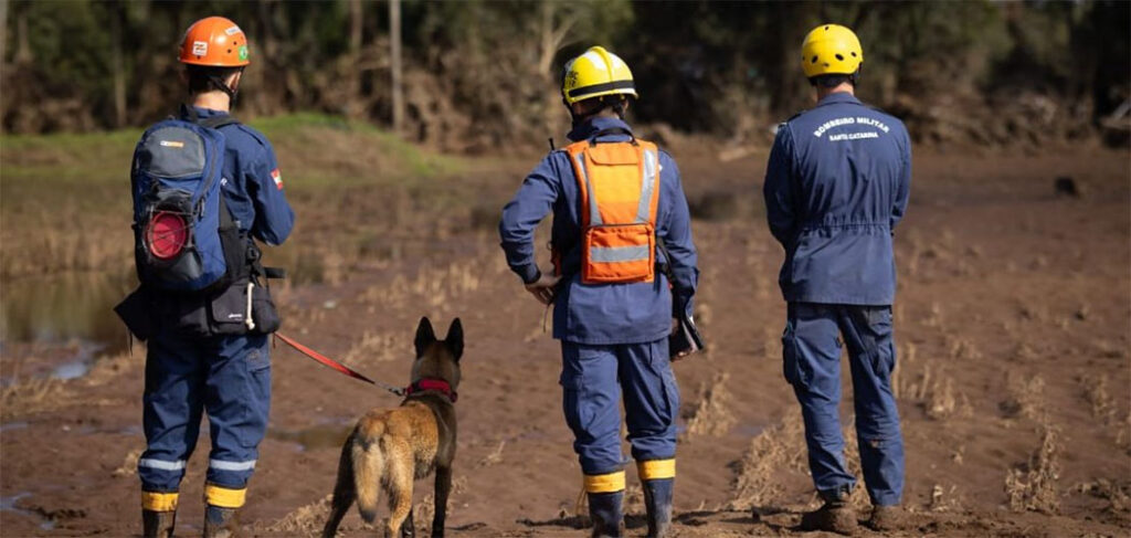 CBMSC celebra o Dia do Cão de Busca e Resgate 