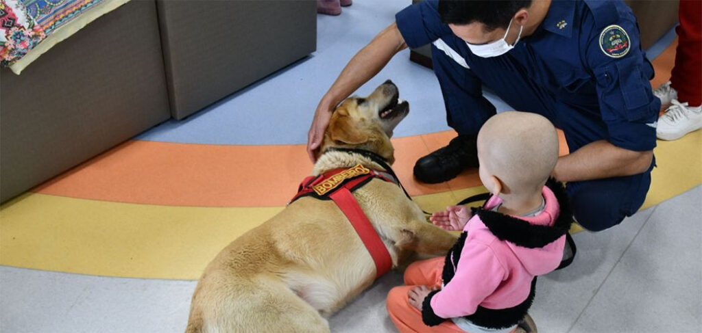 CBMSC celebra o Dia do Cão de Busca e Resgate 