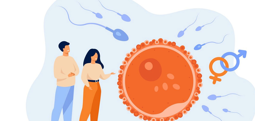 Anemia sabota gravidez