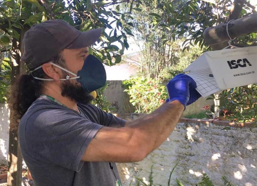 Armadilhas foram utilizadas para monitorar a presença da mariposa 