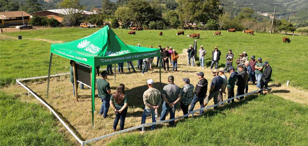 Dia de Campo destaca os avanços na pecuária em Santa Catarina